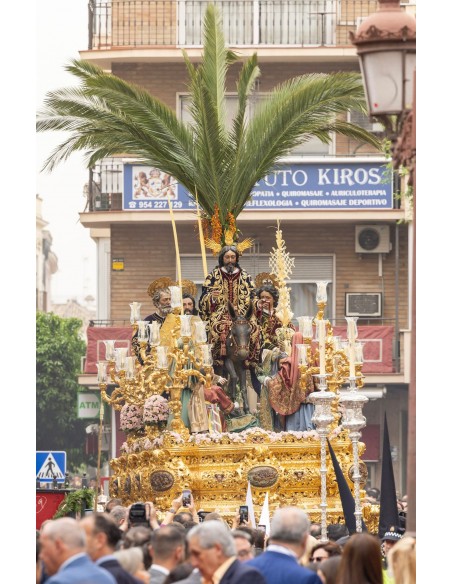 03L. Domingo de Ramos