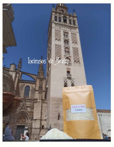Catedral