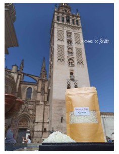 Catedral