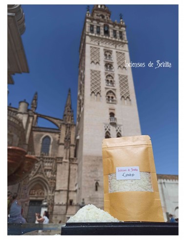 Catedral