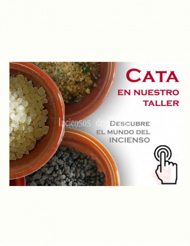 Cata presencial