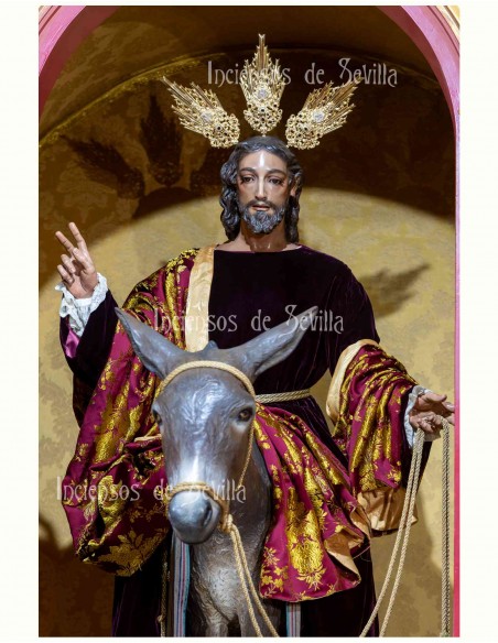 LR-Domingo de Ramos en Málaga