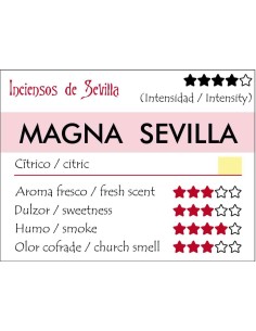 Magna Sevilla 2